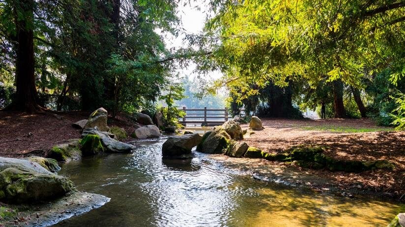 A stream with rocks and trees