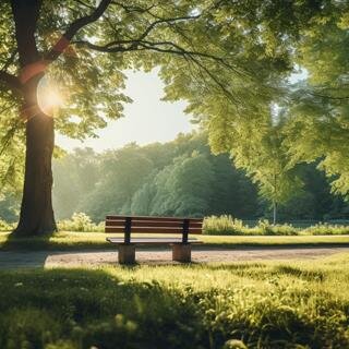 A bench in a park