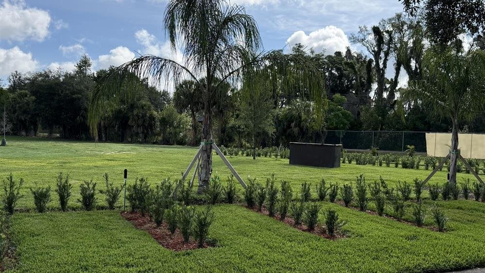A green lawn with trees and a fence