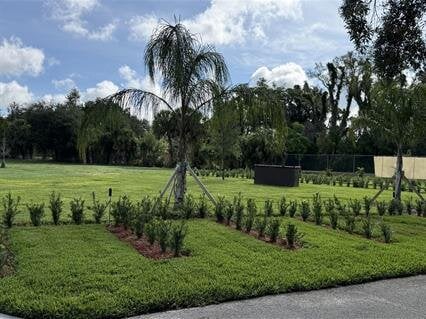 Introducing the New Garden of Angels