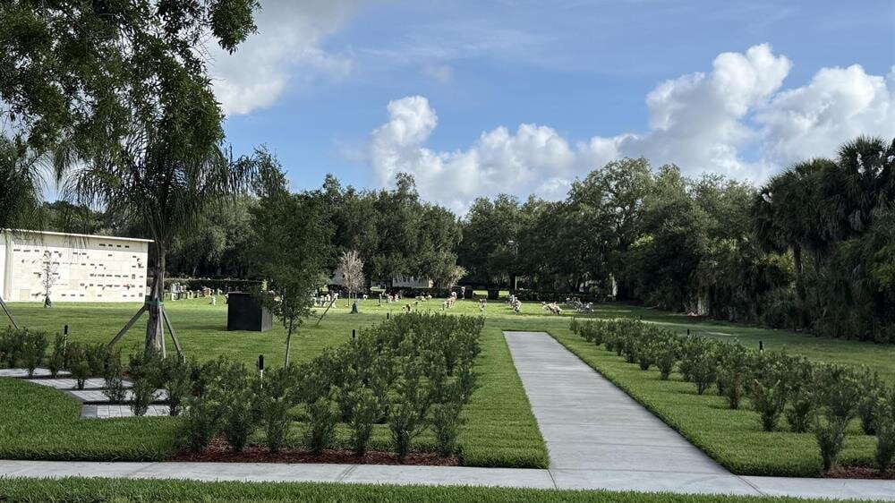 A long shot of a garden