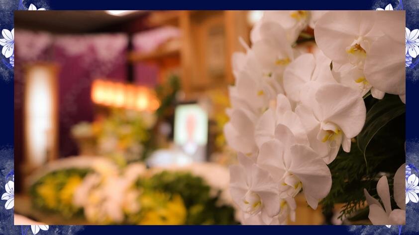 Close up of white flowers
