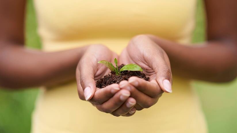 Environmental Stewardship