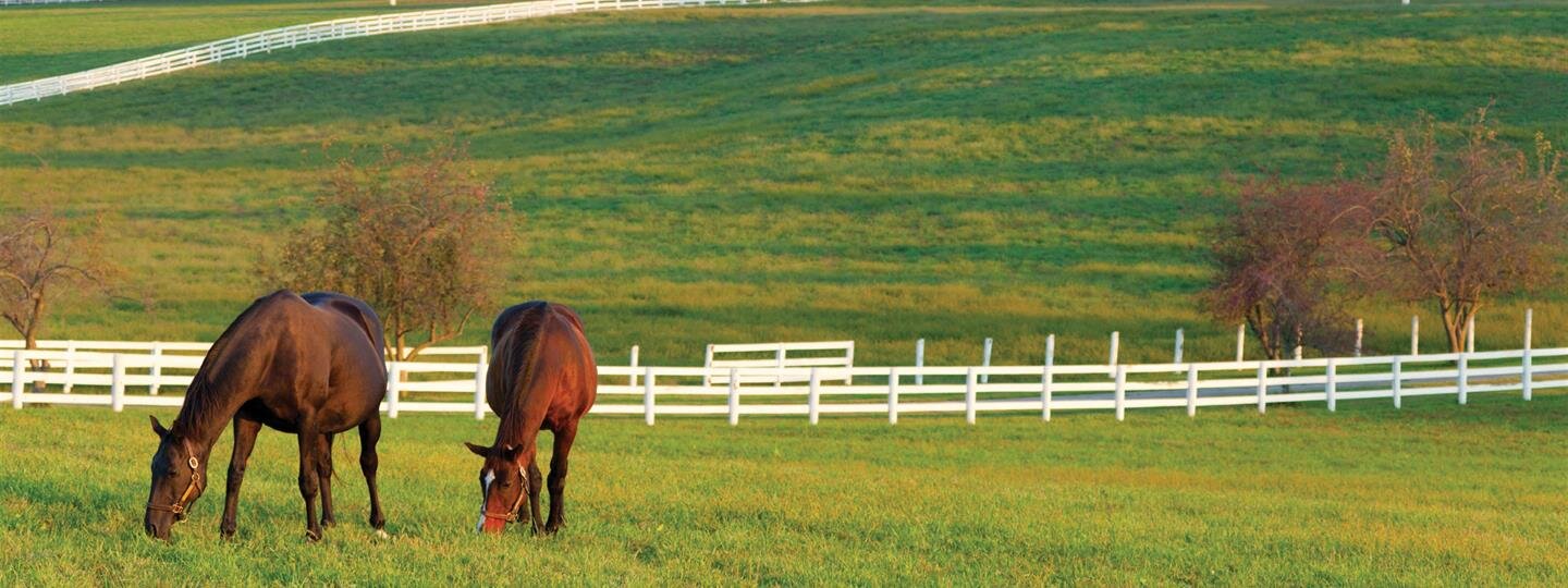 Why We're Different Harrod Brothers Funeral Home Frankfort, KY