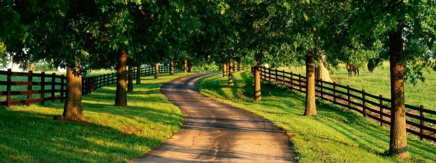 Contact Us Harrod Brothers Funeral Home Frankfort, KY