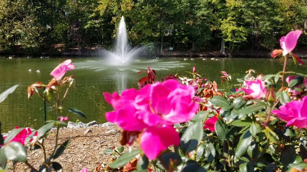 Holly Hill Memorial Park Cemetery