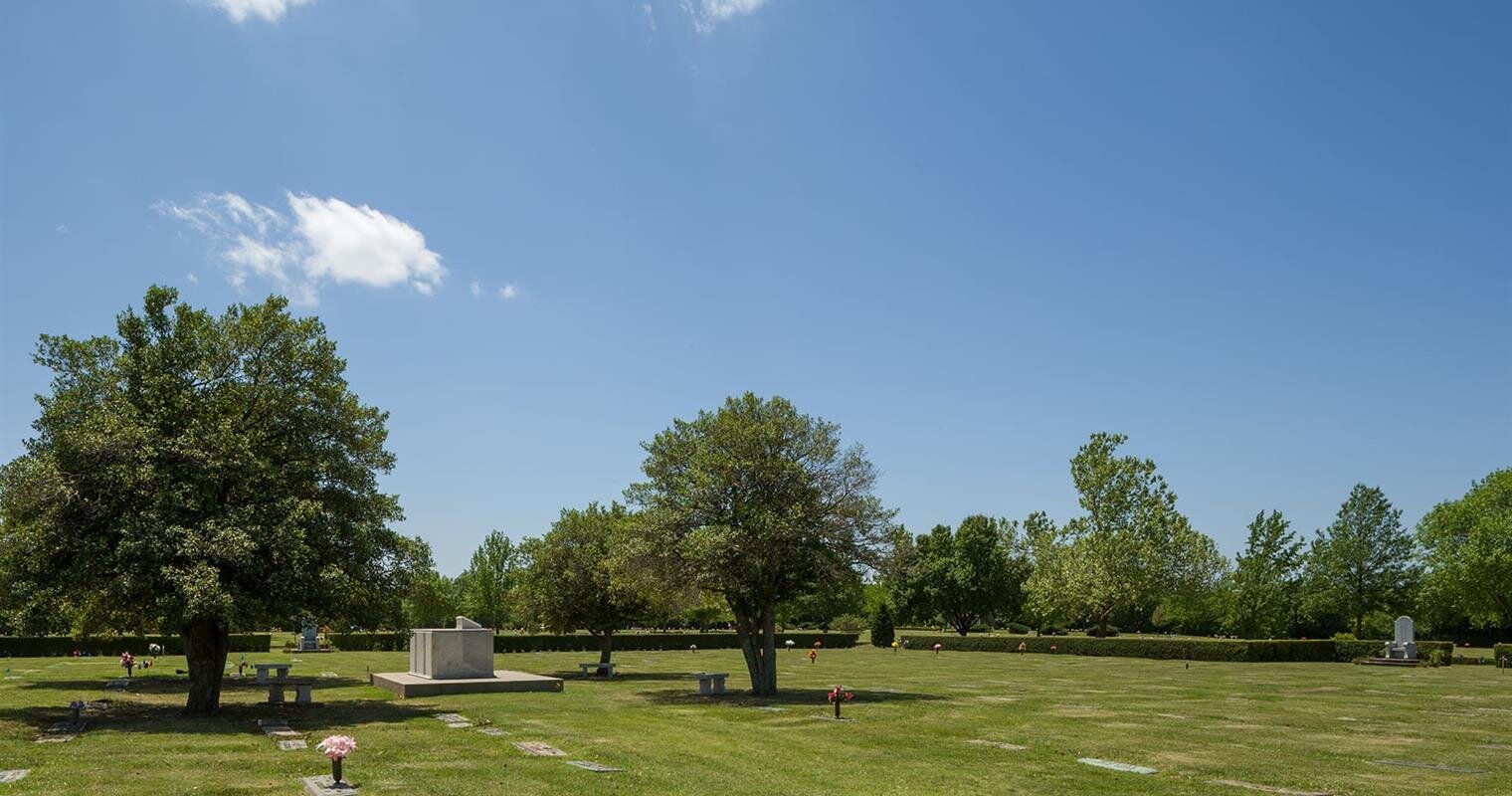 Spacious park featuring lush green grass, scattered trees, and a bright blue sky during midday.