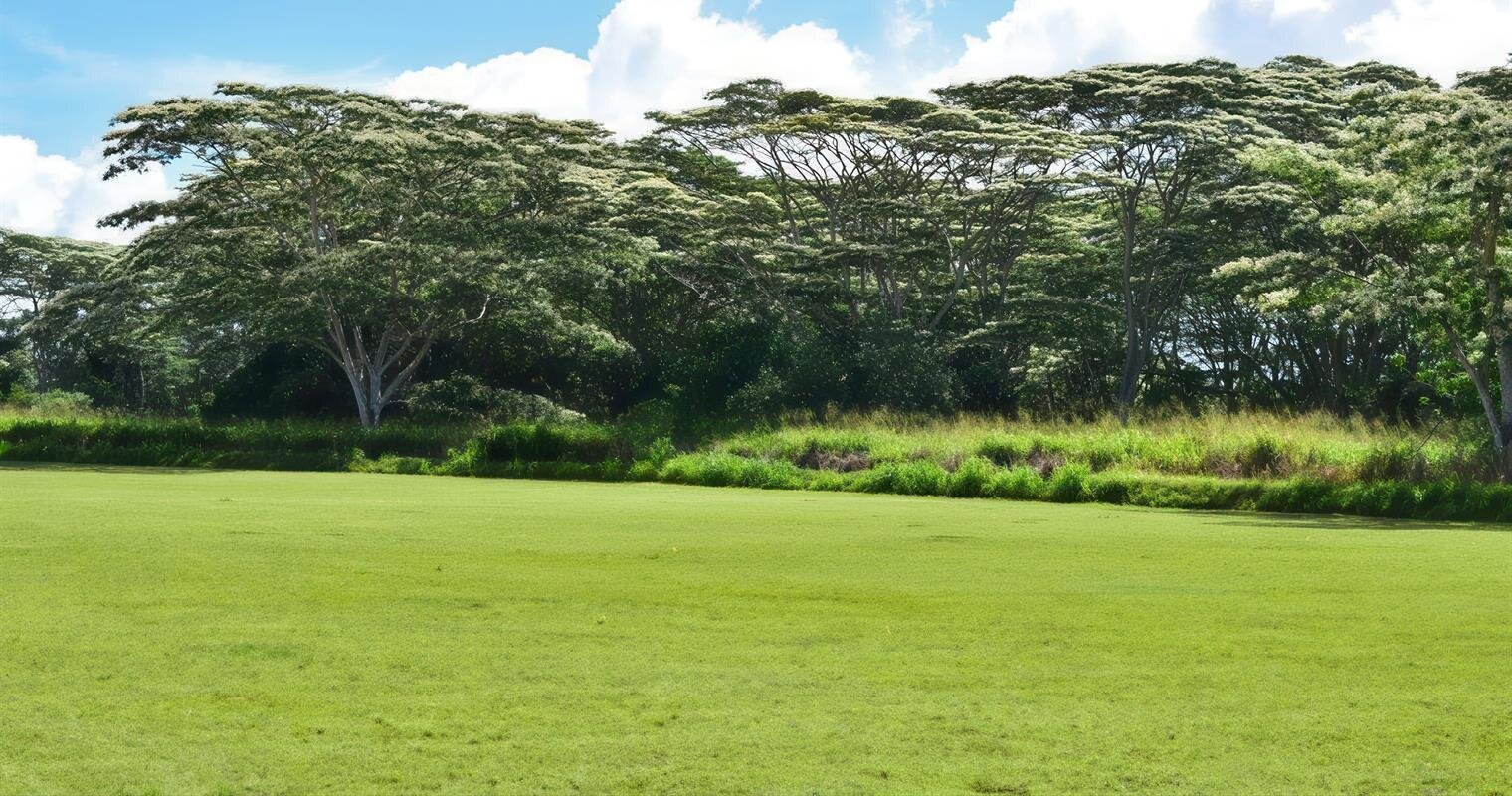 Mililani Memorial Park