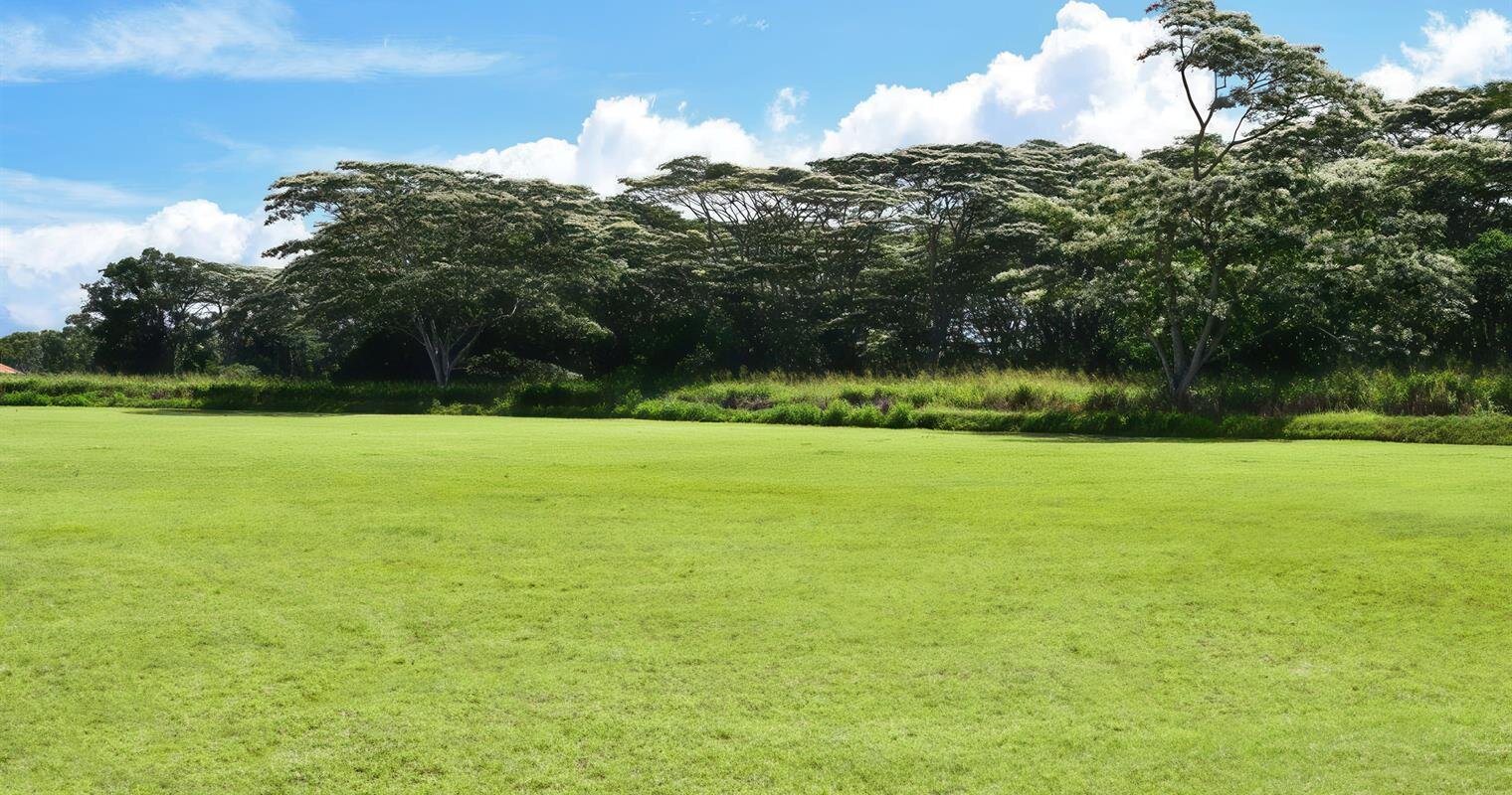 Mililani Memorial Park