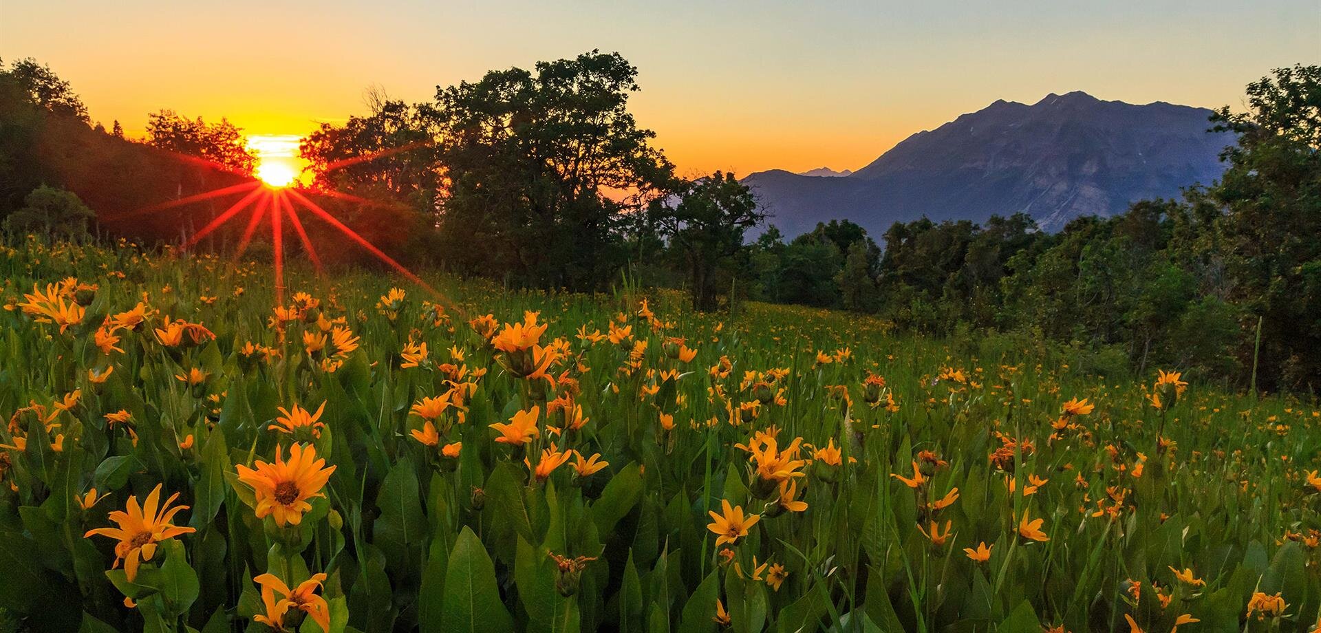 Westwood Gardens and Mausoleum, Griffin GA