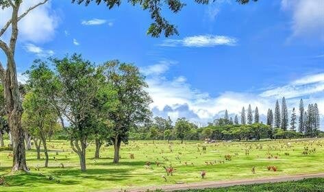 Mililani Memorial Park