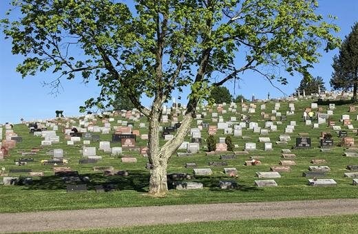 Saint Mary Cemetery, O'Hara Township PA