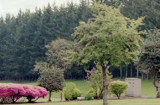 Oak Lawn Cemetery, Corvallis OR