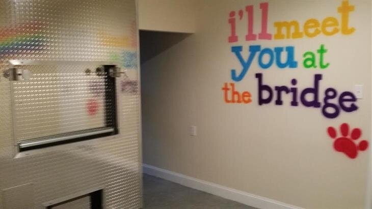 Ever After Pets, Clifton Heights PA