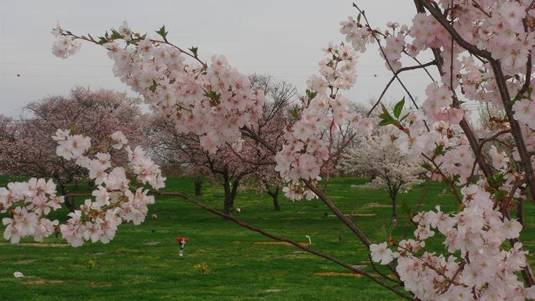 Princeton Memorial Park & Mausoleum, Robbinsville NJ