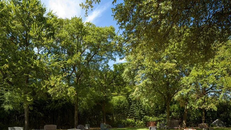 Heritage Cemetery, Dallas TX