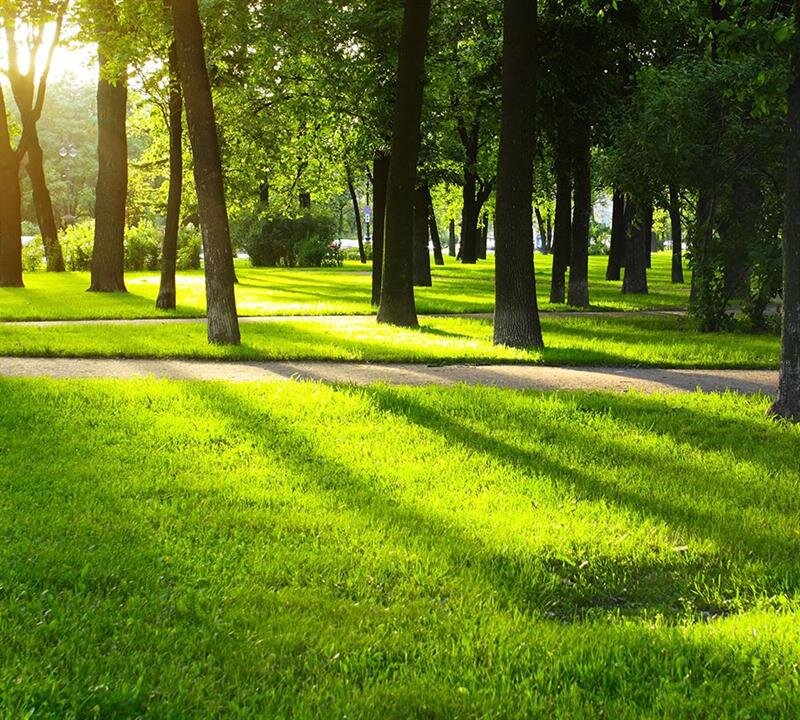 Hancock-Elmore-Hill Funeral Home, Bishopville SC