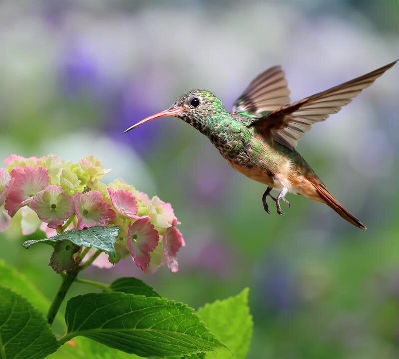 Family Life Funeral Homes - St. Ignace, St. Ignace MI