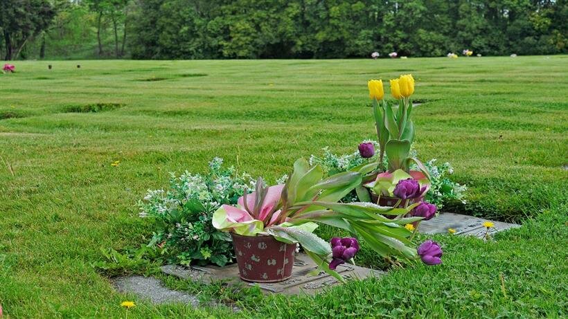 Sacred Tidings Holistic Funeral Care, Santa Rosa CA