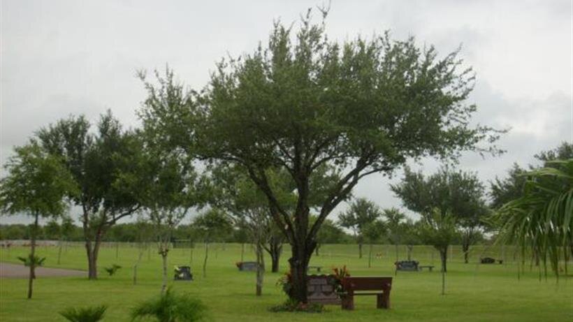 Lord & I Cemetery- Palmview TX, Palmview TX