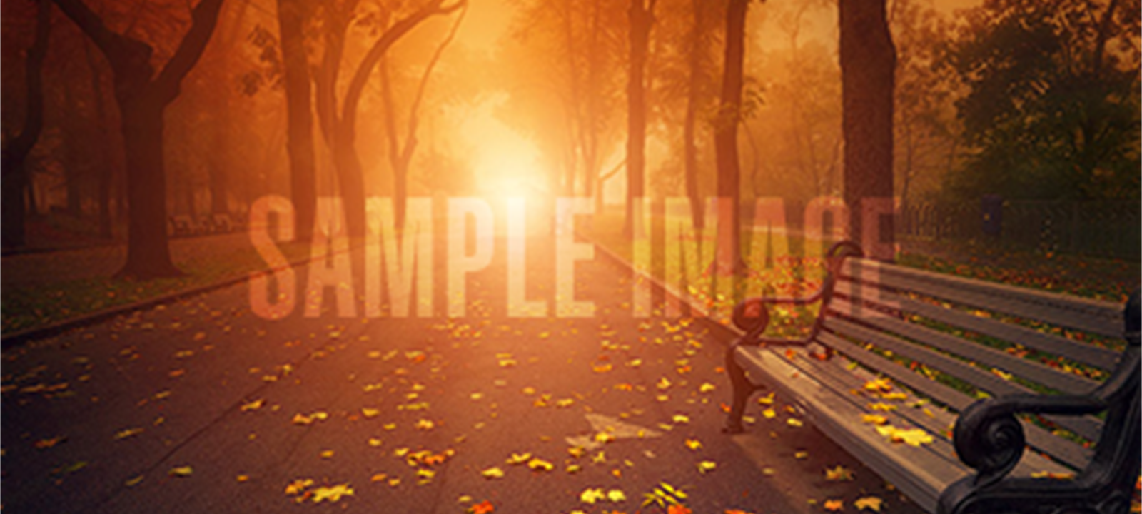 Catholic Cemeteries in Niskayuna, NY Offer Sacred Resting Places