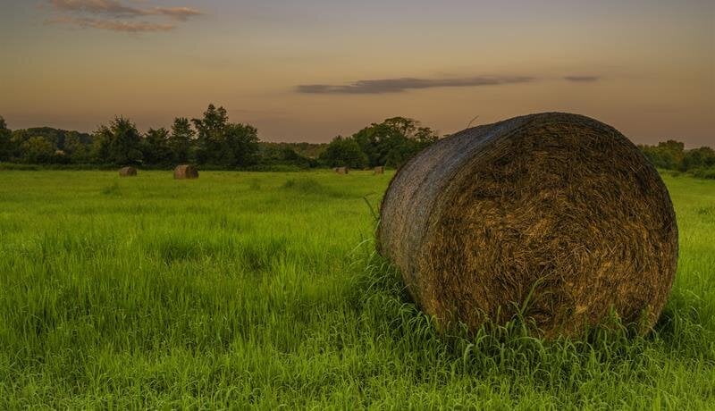 Explore the Possibilities