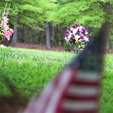 Rules and Regulations