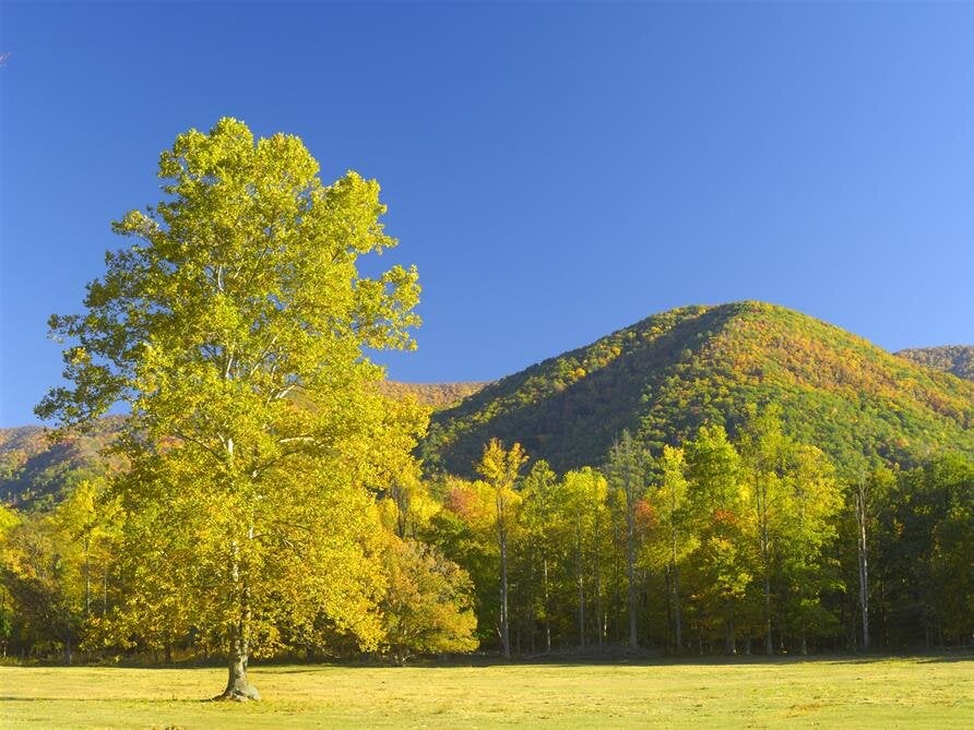 Why Should I Plan Ahead