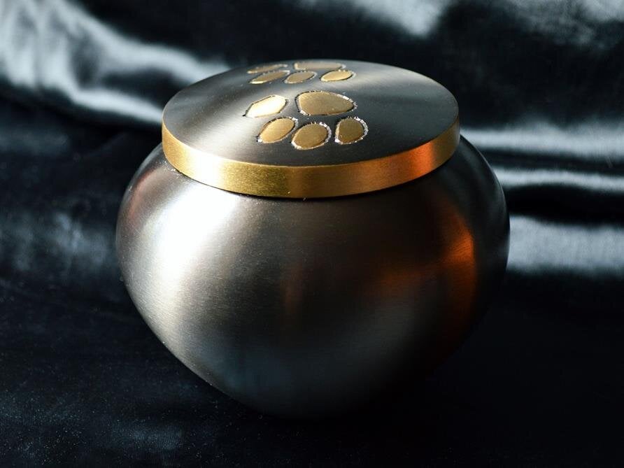 Pricing and Merchandise