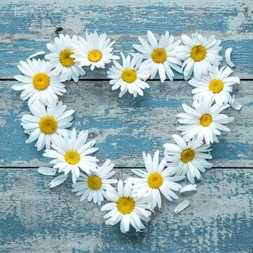 Anatomical Donations