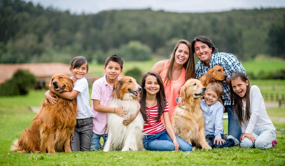 Embrace Pet Insurance