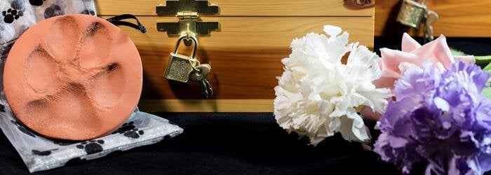 The Sympathy Store - Send Flowers