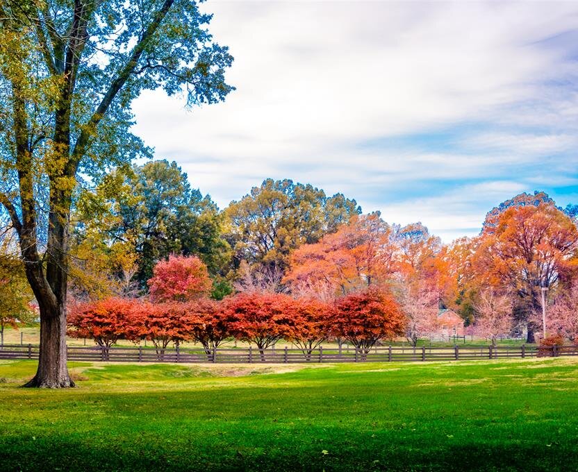 Terry Family Funeral Home, LLC. (Hamilton) sliding image background