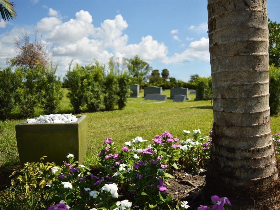 Flowers Wither, Stones Endure