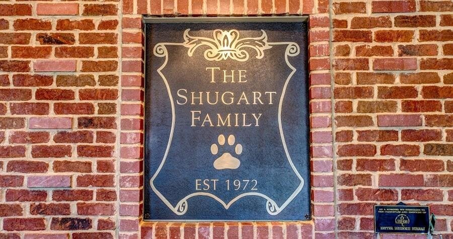 Why Choosing Our Services is the Best Decision