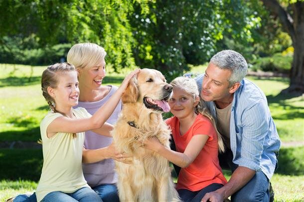 Pet Cremation Options background image