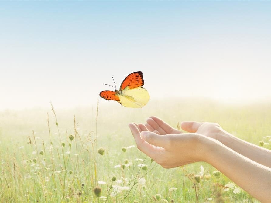 Life for the Widowed