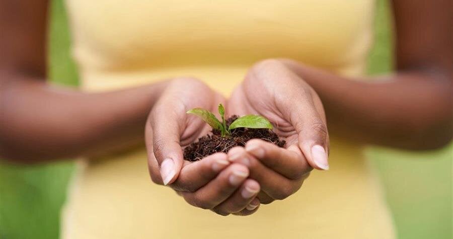 Grief Support Resources