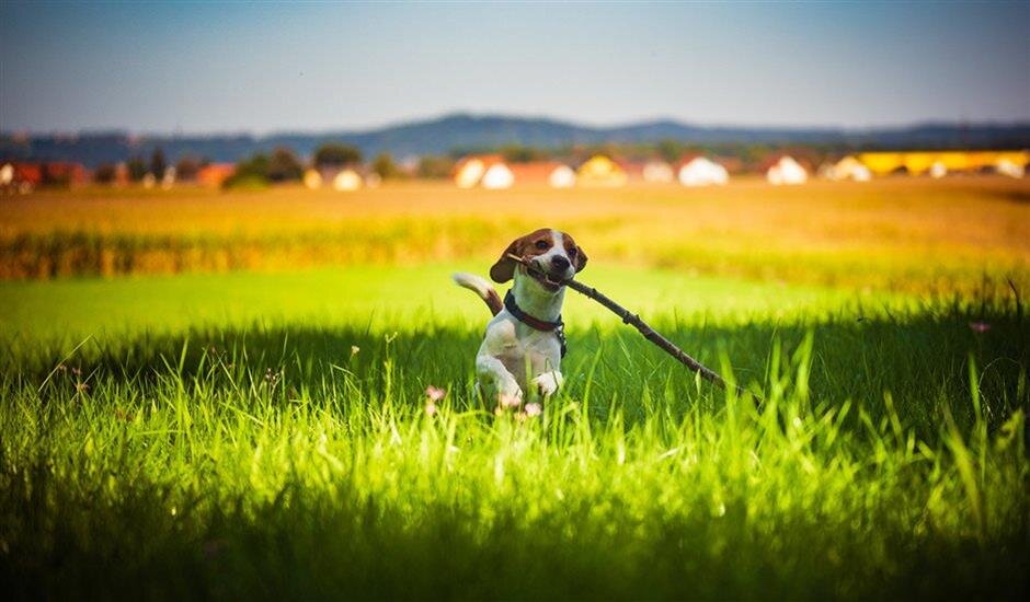 30 Daily Affirmations