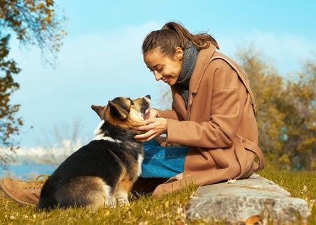 Pet Cremation Center of Southern Utah