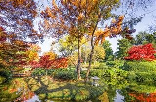 SAME DAY VISITATION/SERVICE WITH CREMATION - $7090
