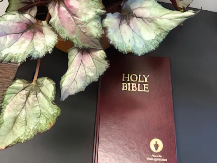 365 Days of Grief Support