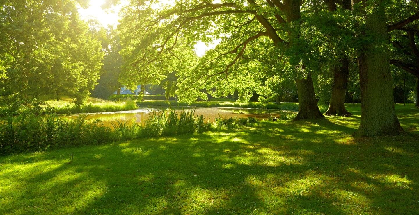Soft sunlight illuminates a serene park with vibrant trees and a peaceful pond at dusk.