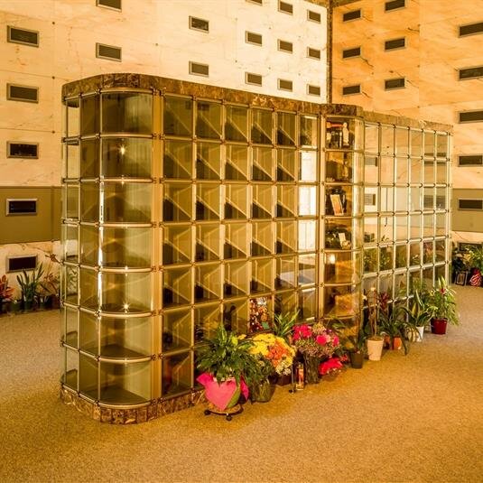 Unique indoor garden showcases with vibrant plants and decorative shelves in a cozy setting.