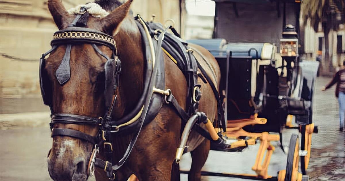 Service Enhancements Reid Funeral Service & Chapel L'Anse, MI