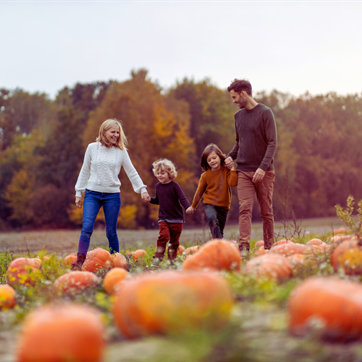 How to plan for Halloween