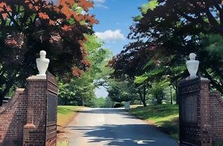 A Consistent Place of Healing