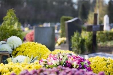 Visitors place vibrant flowers on graves in a serene cemetery, honoring loved ones during spring.