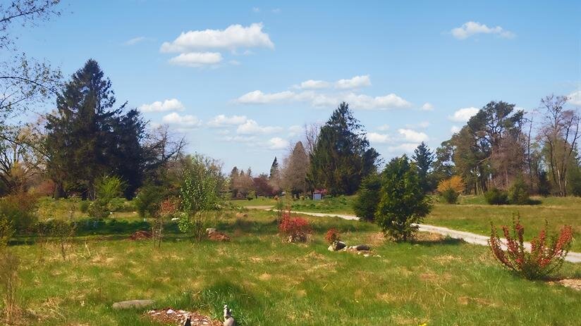 Green Burial