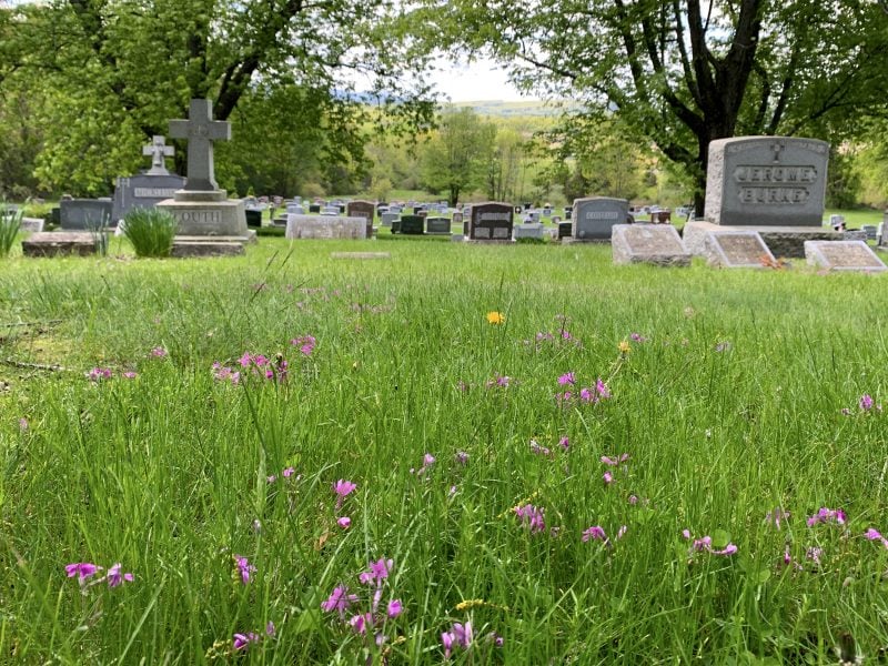Schenectady, NY cemetery headstones, monuments, and grave markers